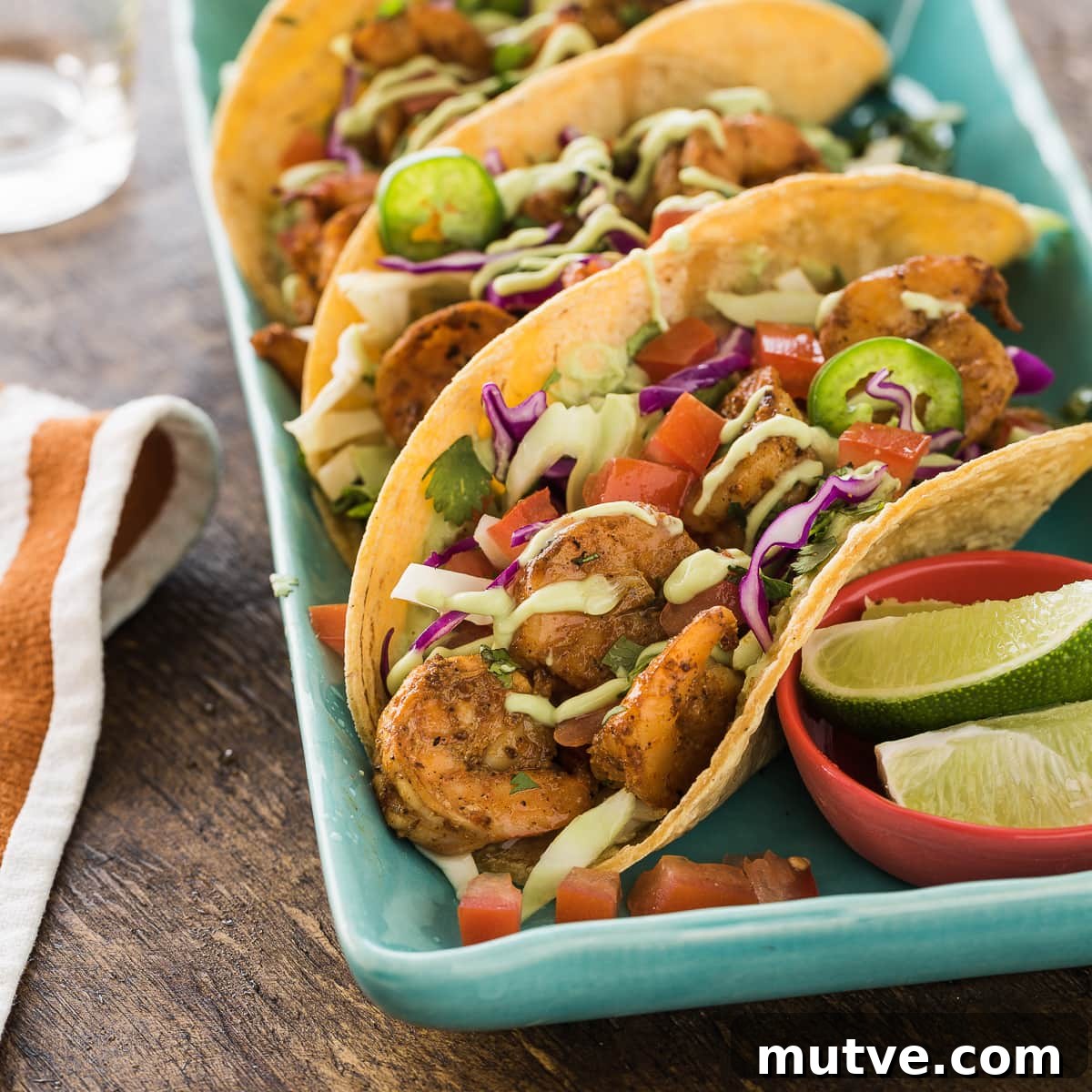 featured 3356