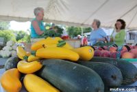 Bridge the Farm to Table Gap: What You Can Do