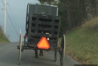 Inside the Amish: Guide to Their Culture and Daily Life