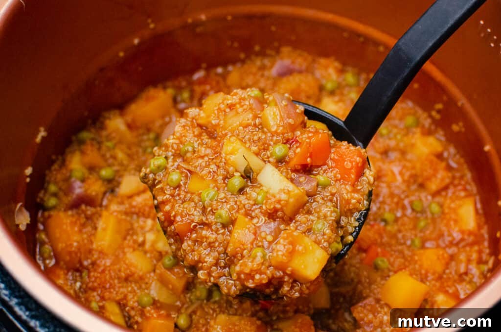 One-Pot Quinoa Vegetable Stew 12 Quinoa Vegetable Stew being scooped up with a black ladle to serve