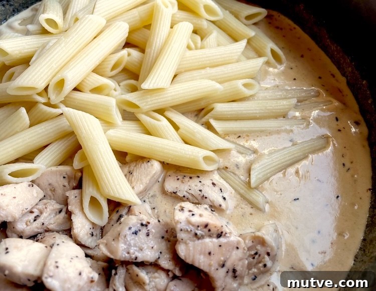 Creamy Sun-Dried Tomato Chicken Pasta Recipe 5 img 10536 4