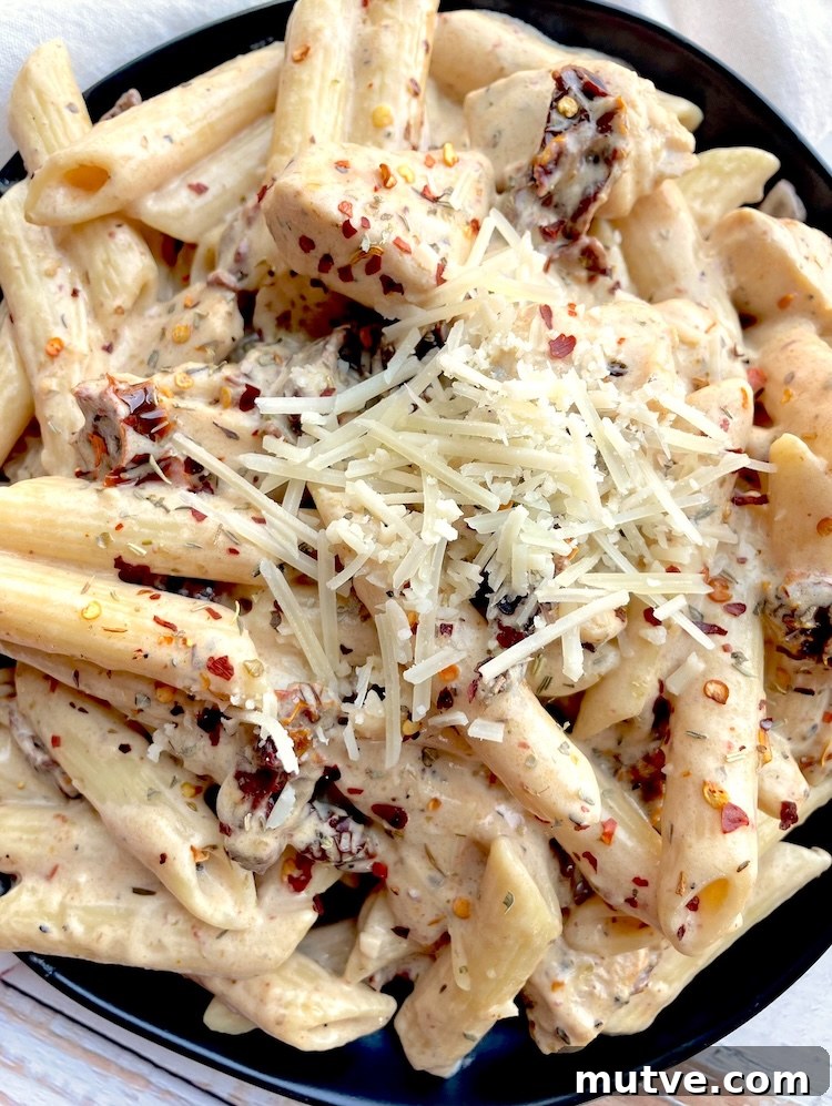Creamy Sun-Dried Tomato Chicken Pasta Recipe 6 img 10536 5