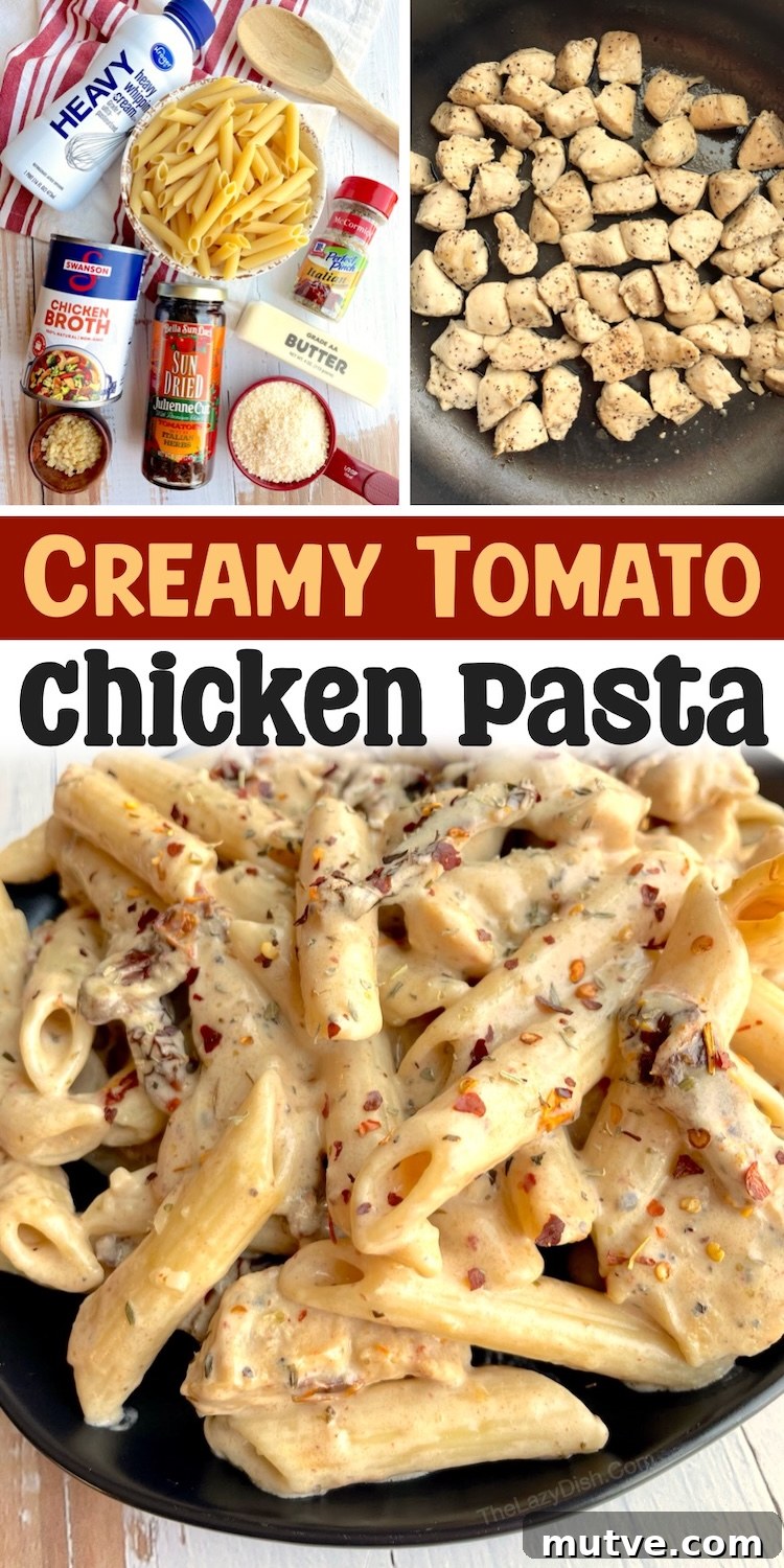 Creamy Sun-Dried Tomato Chicken Pasta Recipe 7 How to make the most delicious and impressive dinner for your family! So easy and yet crazy good. This simple penne pasta dinner recipe is made with a heavenly sauce that consists of cream, sun dried tomatoes, garlic, parmesan, and chicken broth. Toss with sautéed chicken and your favorite pasta for this amazing comfort food!
