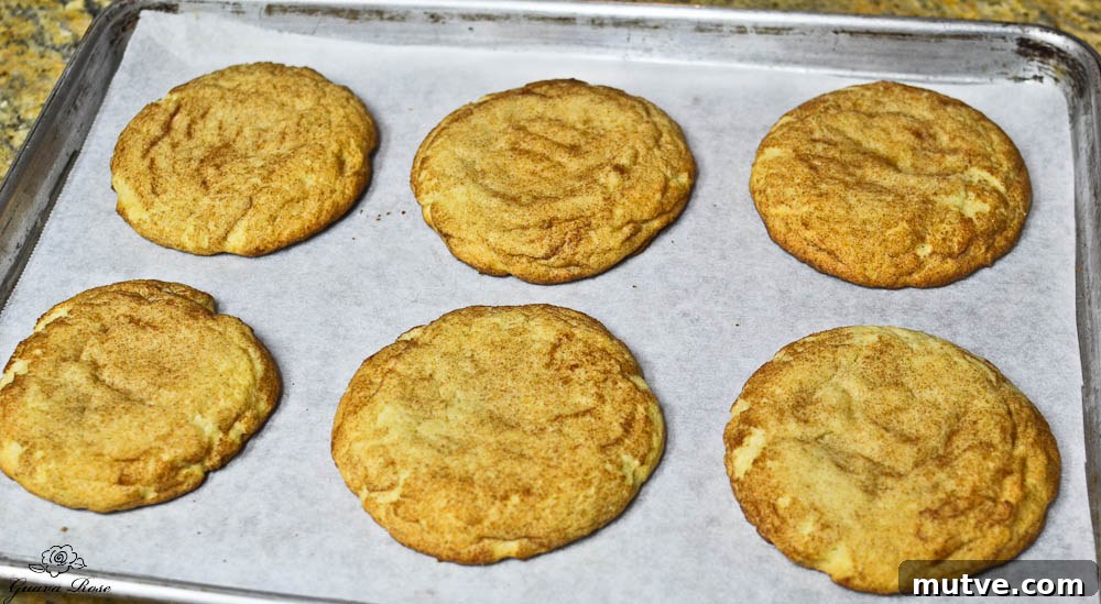 DSC_0376 Baked cookies on parchment