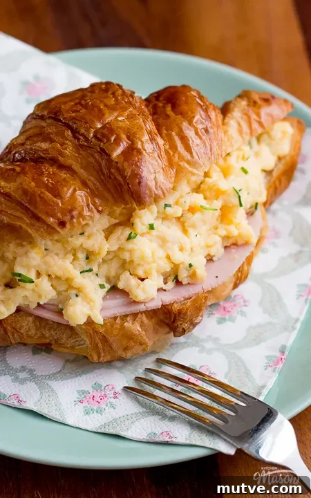 Cheese and Chive Scrambled Egg Croissant Recipe 2 Cheese and chive scrambled egg croissant on a plate with a fork.