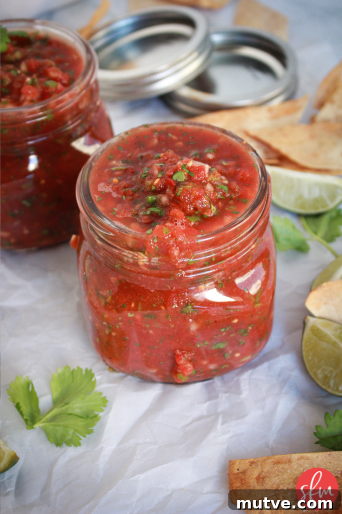 Bowl of blender salsa