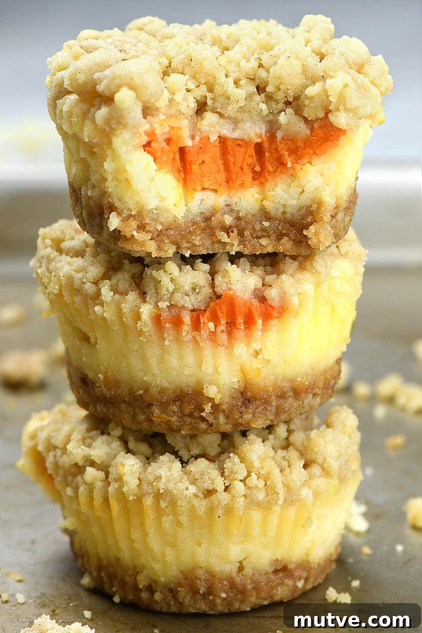 Mini Pumpkin Cheesecake Recipe with Cinnamon Streusel 2 Mini Pumpkin Cheesecakes are the perfect choice for Thanksgiving table! You can easily double or triple the recipe and feed the crowd.