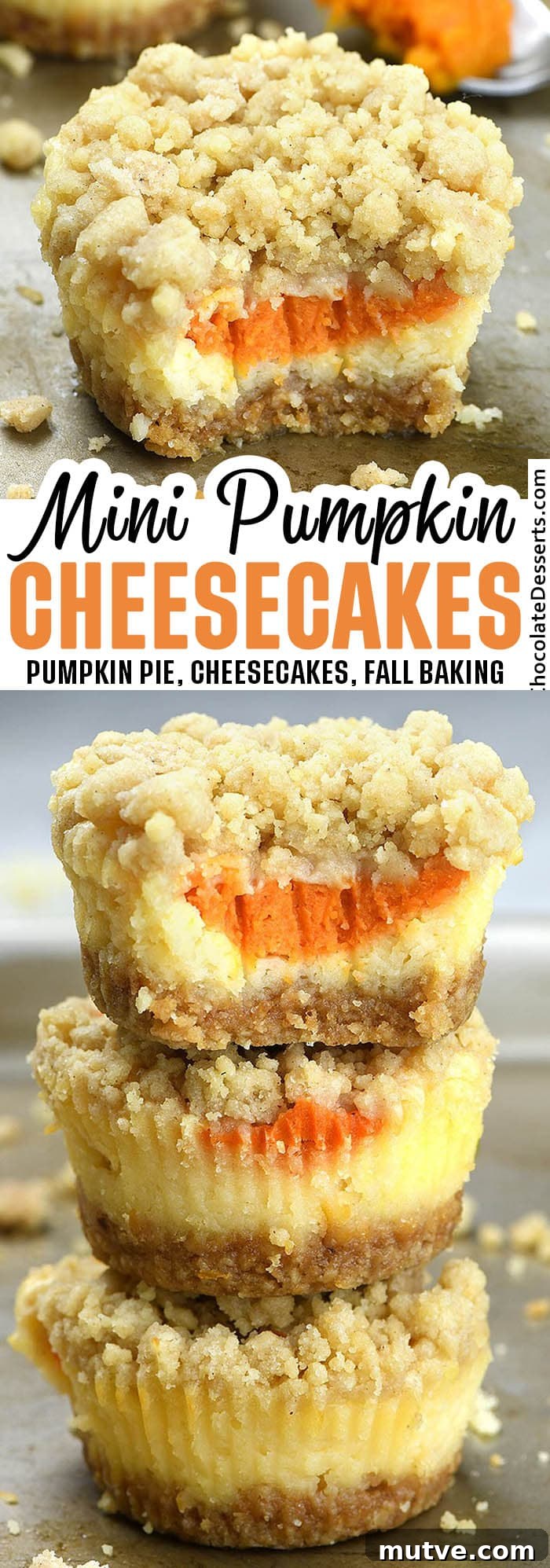 Mini Pumpkin Cheesecake Recipe with Cinnamon Streusel 8 Mini pumpkin cheesecakes
