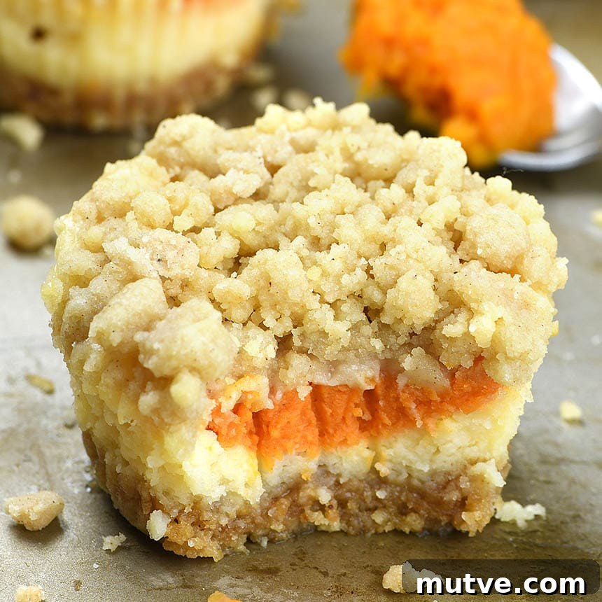 Mini Pumpkin Cheesecake Recipe with Cinnamon Streusel 3 Mini Pumpkin Cheesecakes are a must on fall baking list this year!