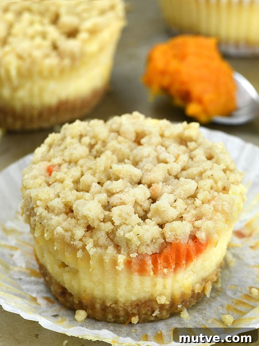 Mini Pumpkin Cheesecake Recipe with Cinnamon Streusel 5 Mini Pumpkin Cheesecakes