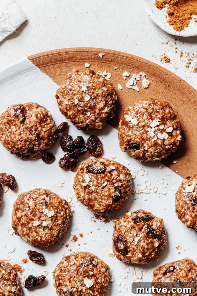 No Bake Oatmeal Raisin Cookie Bites Gluten Free Vegan