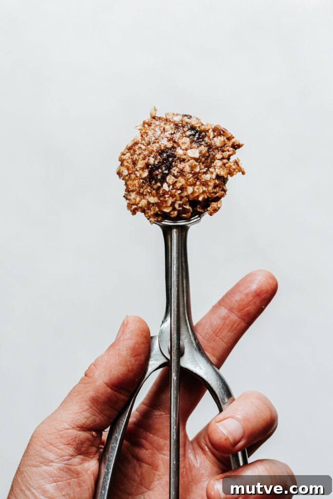 No Bake Oatmeal Raisin Cookie Bites Gluten Free Vegan
