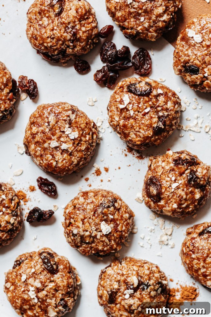 No Bake Oatmeal Raisin Cookie Bites Gluten Free Vegan