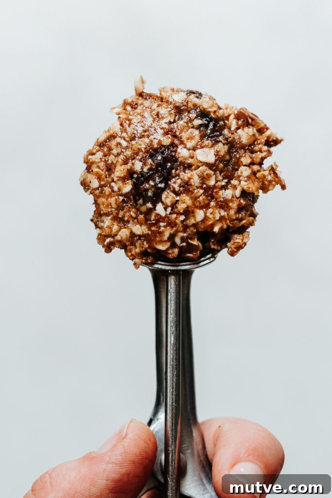 No Bake Oatmeal Raisin Cookie Bites Gluten Free Vegan