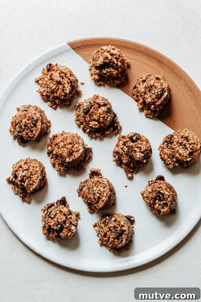 No Bake Oatmeal Raisin Cookie Bites Gluten Free Vegan