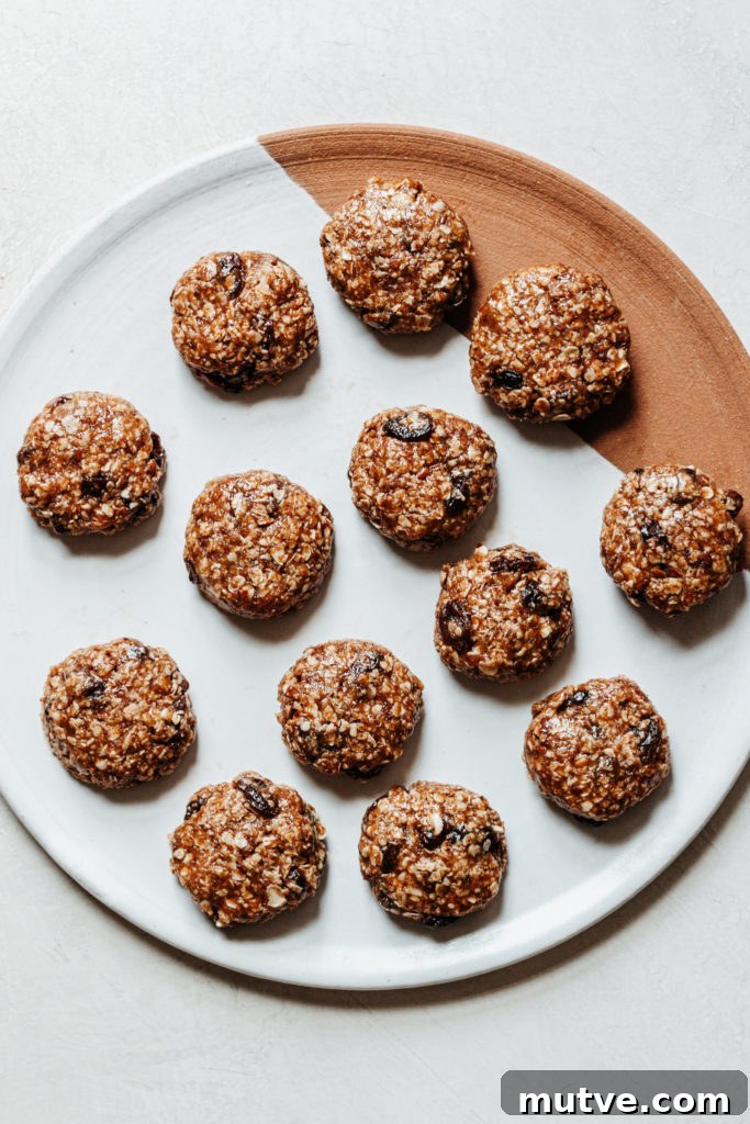 No Bake Oatmeal Raisin Cookie Bites Gluten Free Vegan