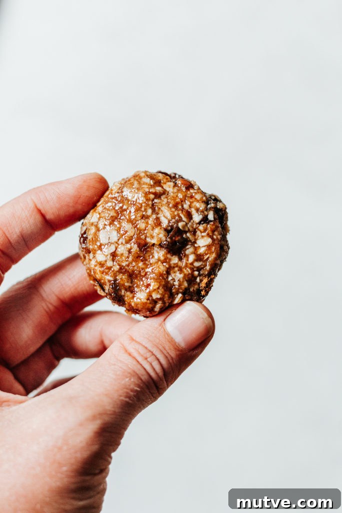 No Bake Oatmeal Raisin Cookie Bites Gluten Free Vegan