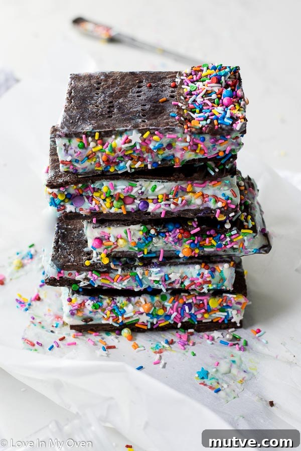 Birthday Cake Ice Cream Sandwiches Recipe for Parties 2 img 11484 1