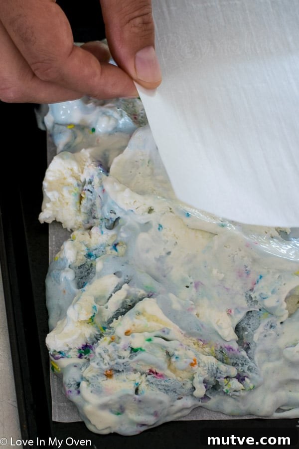 Birthday Cake Ice Cream Sandwiches Recipe for Parties 5 img 11484 4