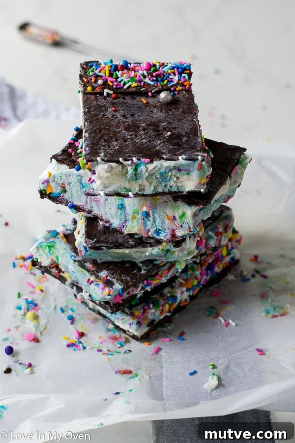 Birthday Cake Ice Cream Sandwiches Recipe for Parties 6 img 11484 5