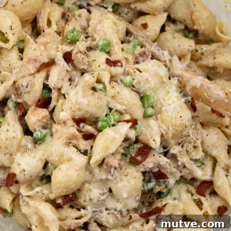 Creamy Chicken and Bacon Pasta Salad 17 img 119478 16