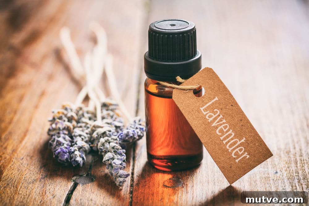 20 DIY Home Uses for Lavender Essential Oil 2 uses for lavender oil