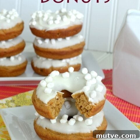 Sweet Potato Donuts