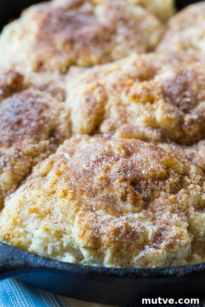 Warm Skillet Snickerdoodle Biscuits Recipe 3 Skillet Snickerdoodle Biscuits