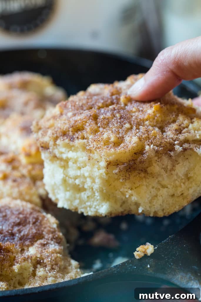 Warm Skillet Snickerdoodle Biscuits Recipe 6 Skillet Snickerdoodle Biscuits