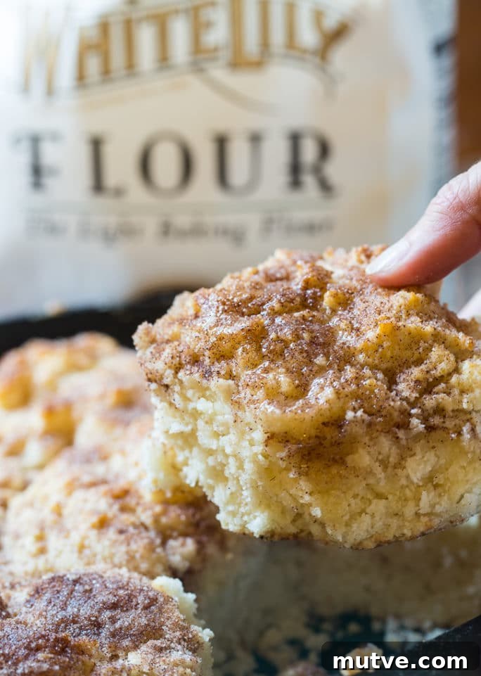 Warm Skillet Snickerdoodle Biscuits Recipe 7 Skillet Snickerdoodle Biscuits