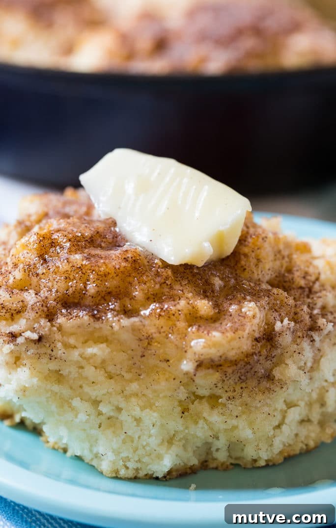 Warm Skillet Snickerdoodle Biscuits Recipe 9 Skillet Snickerdoodle Biscuits