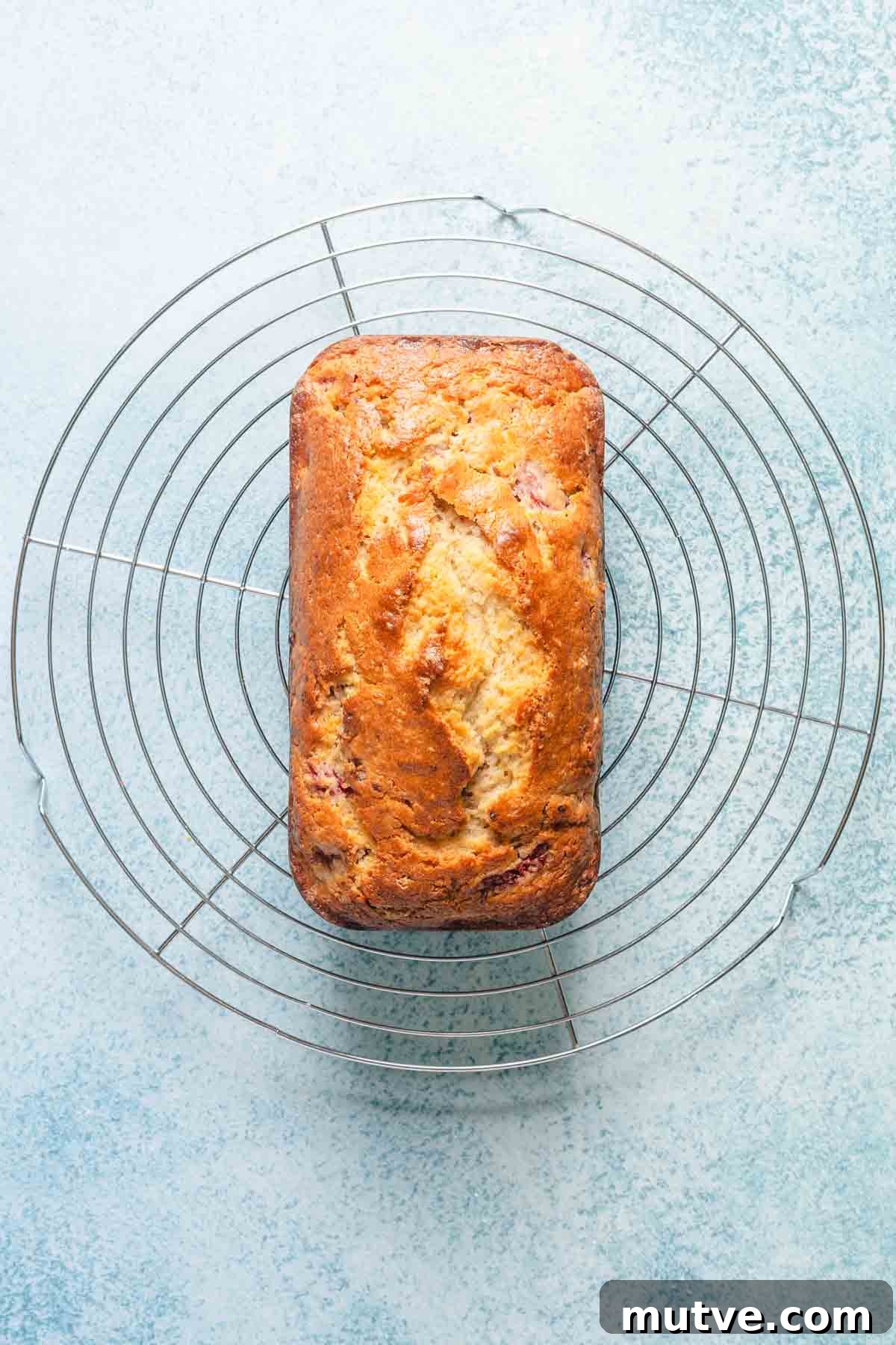 baked raspberry lemon loaf cooling on wire rack.