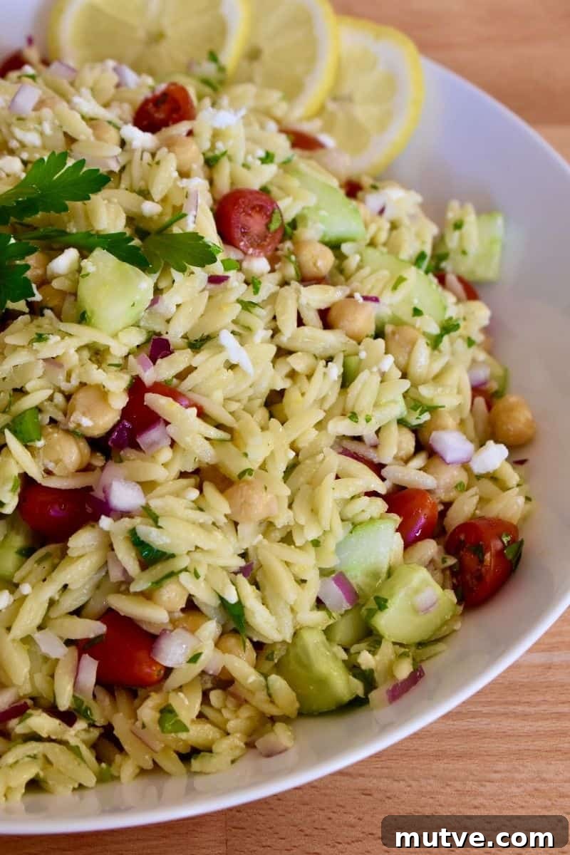 Lemon Orzo Salad Recipe with Feta and Fresh Herbs 2 Lemon Orzo Salad in a bowl with cucumbers, tomatoes, parsley, lemon, garbanzo beans and feta.