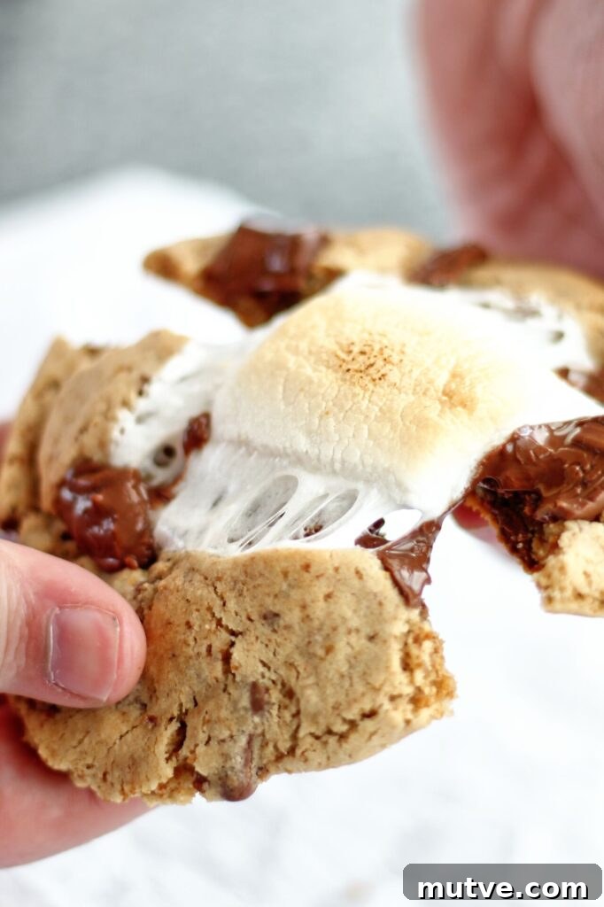 Gluten-Free Smores Cookies with Gooey Marshmallow and Chocolate 2 pulling apart smores cookie with melted marshmallow