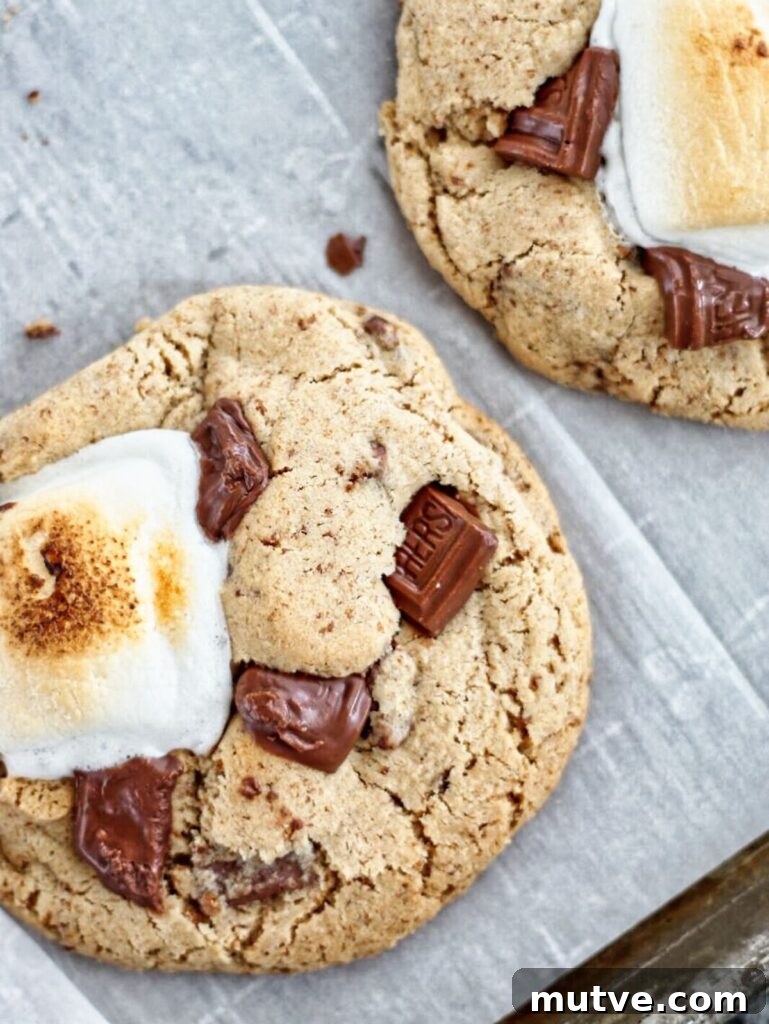 Gluten-Free Smores Cookies with Gooey Marshmallow and Chocolate 13 overhead shot of two smores cookies on parchment.