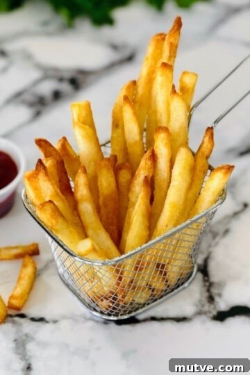 A mesh fry basket filled with golden brown, crispy air fryer frozen french fries.