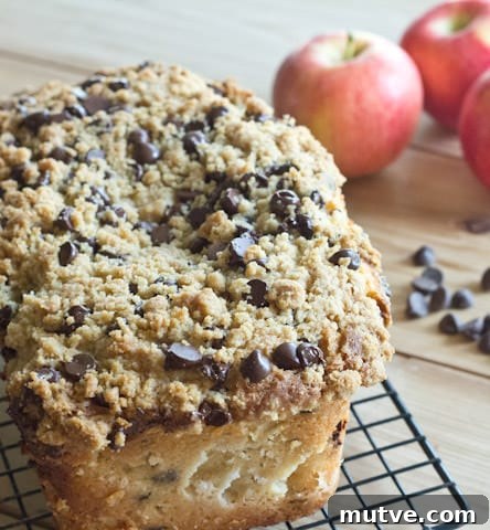 Homemade Peanut Butter Chocolate Chip Bread Recipe 5 Apple Pie Bread with Chocolate Chip Streusel
