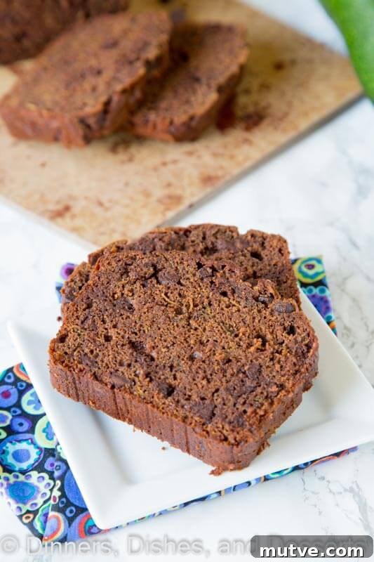 Homemade Peanut Butter Chocolate Chip Bread Recipe 7 Double Chocolate Zucchini Bread