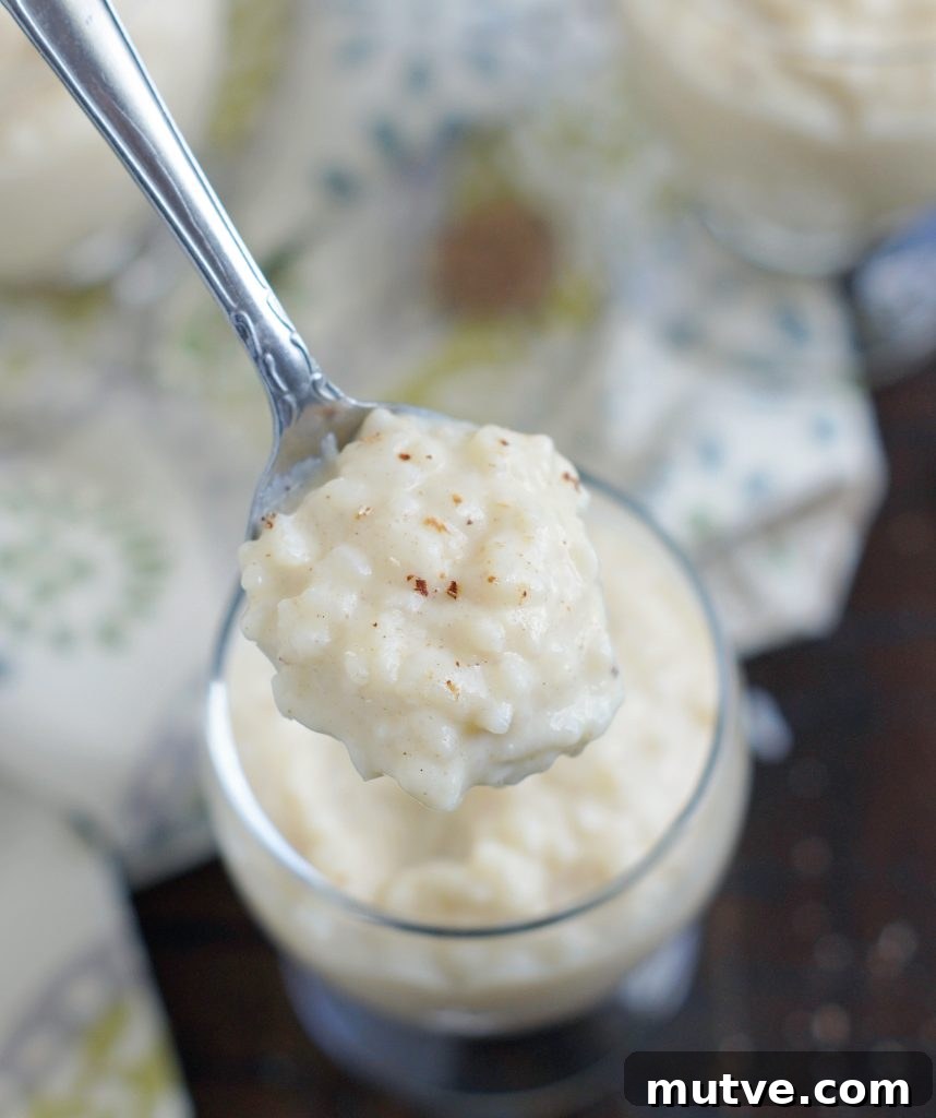 Creamy rice pudding in a dish, sprinkled with cinnamon