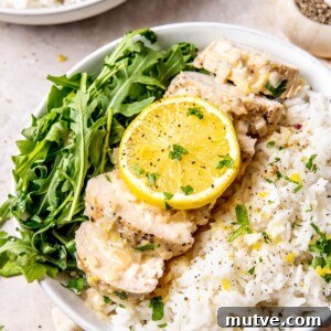 Dairy Free Creamy Lemon Pepper Chicken Recipe 13 Dairy Free Creamy Lemon Pepper Chicken - Olivia Adriance