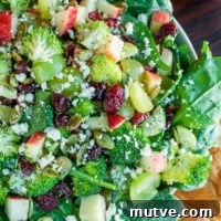 Apple Cranberry Spinach Salad with Broccoli and Feta