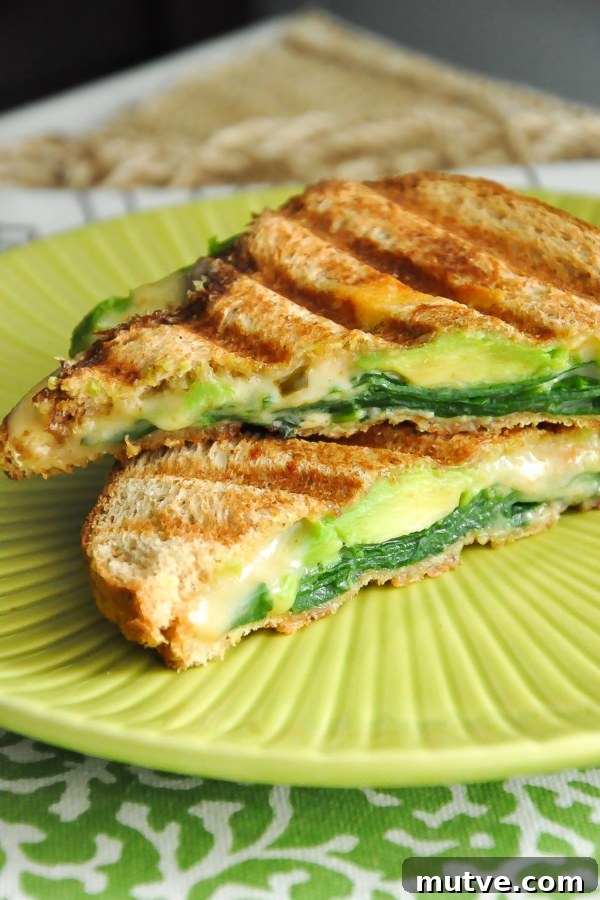 Spinach and Avocado Grilled Cheese Sandwich