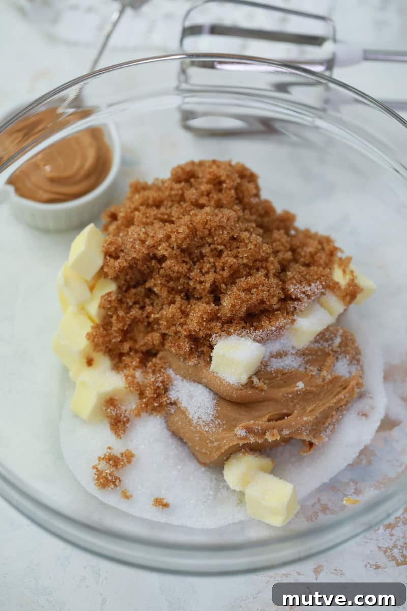 mixing in the ingredients for the peanut butter pumpkin cookies
