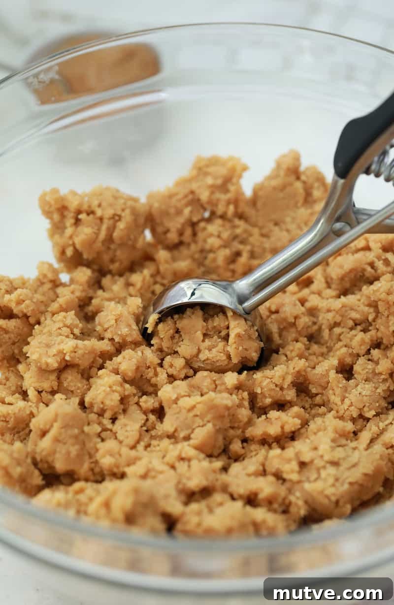 pumpkin peanut butter cookie dough being scooped into balls