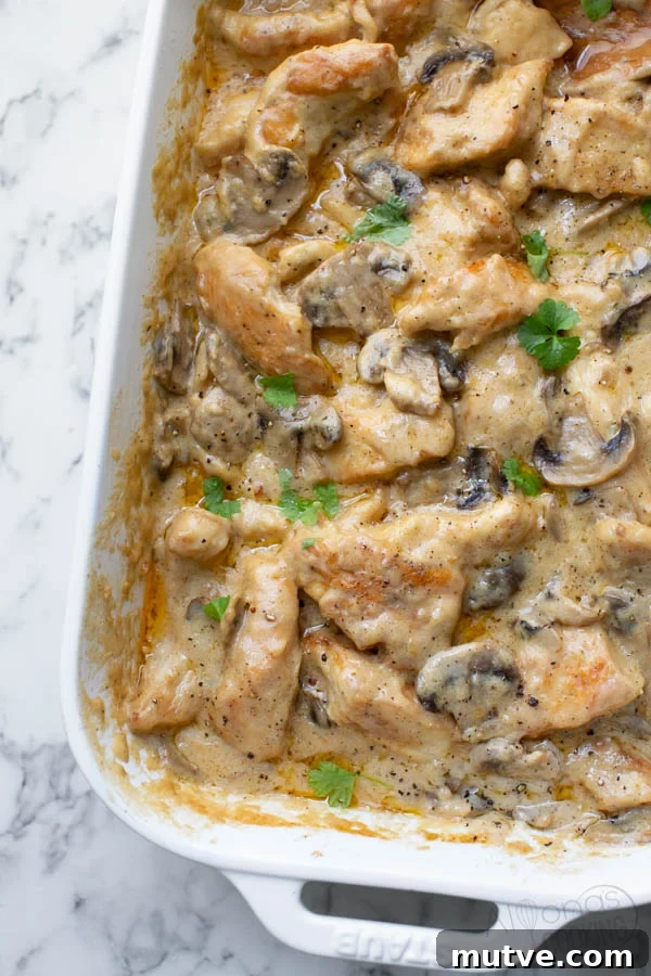 This Creamy Chicken Casserole is baked in an ultra-creamy homemade gravy and plump mushrooms! It's called Chicken Gloria and makes the perfect dish to impress guests or bring along to a potluck! It's one tasty chicken recipe! chicken gloria casserole with creamy homemade gravy instead of canned soup