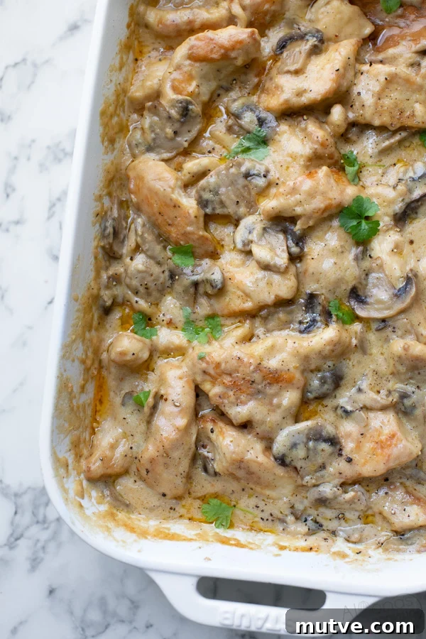 Gloria Chicken Casserole Recipe with Homemade Gravy 3 creamy mushroom and chicken casserole called chicken Gloria casserole