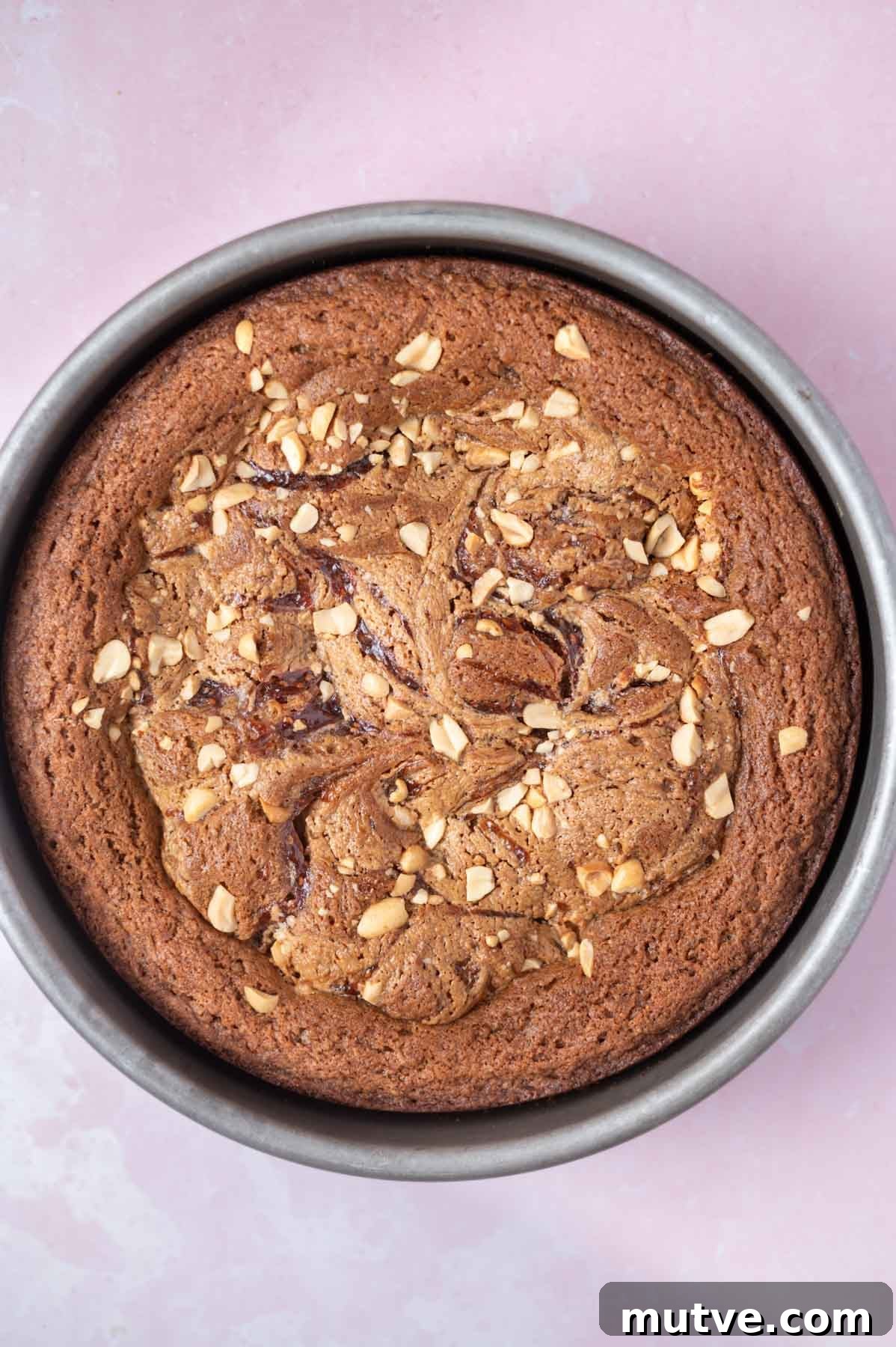 baked cake in a cake pan