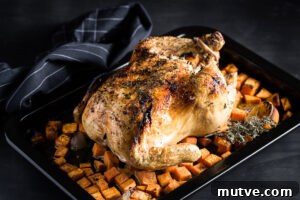 Lemon-thyme roast chicken with sweet potatoes