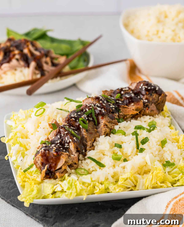 30 Asian Recipes to Make at Home 13 Roundup Image for Easy Asian Dishes Anyone can make