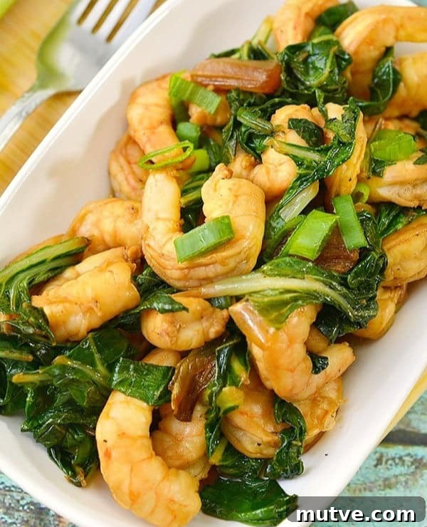30 Asian Recipes to Make at Home 3 Roundup Image for Easy Asian Dishes Anyone Can Make